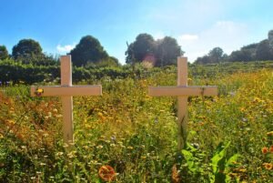 sky, blue, cross, sea, clouds, travel, summer, sunrise, nature, farm, cementry, grave, environment, rural, field, crop, agriculture, countryside, landscape, farming, garden, harvest, cross, cementry, cementry, cementry, cementry, cementry
